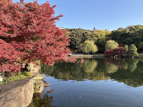 徳川園を散策してきました。251128