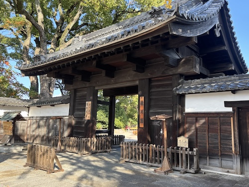 徳川園を散策してきました。251128