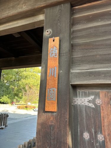 徳川園を散策してきました。251128