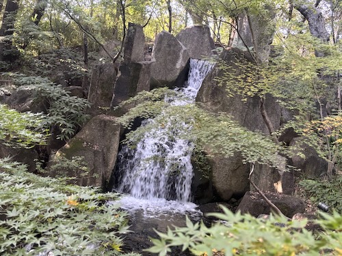 徳川園を散策してきました。251128